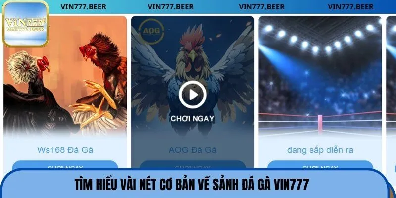 Tìm hiểu vài nét cơ bản về sảnh đá gà Vin777